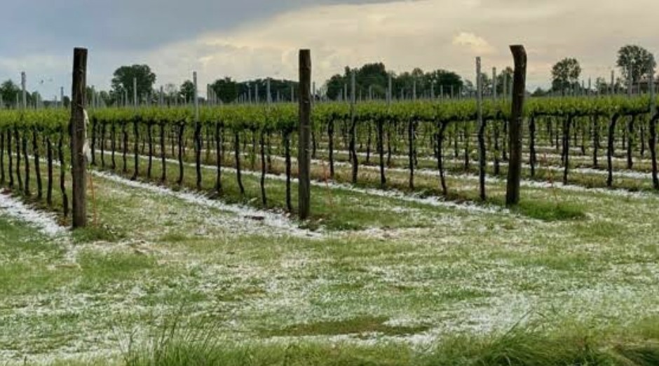 maltempo, Veneto, grandine