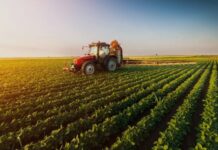 Sovranità alimentare a rischio: Coldiretti lancia l’allarme sui costi energetici agricoltura, Coldiretti, energia