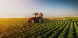 Sovranità alimentare a rischio: Coldiretti lancia l’allarme sui costi energetici agricoltura, Coldiretti, energia