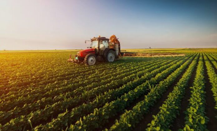 agricoltura, Coldiretti, energia agricoltura, Coldiretti, energia