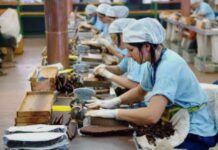Manifatturiero: il Veneto cresce nel 2026 con produzione e ordini in aumento Veneto, industria, export