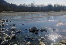 Siccità in Veneto, Adige sotto i minimi storici, cresce l’attenzione sulle risorse idriche Veneto, Siccità, Ambiente