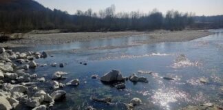 Siccità in Veneto, Adige sotto i minimi storici, cresce l’attenzione sulle risorse idriche Veneto, Siccità, Ambiente
