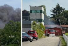 Incendio all’ippodromo Sant’Artemio: sei cavalli muoiono nel rogo incendio Treviso ippodromo Sant'Artemio