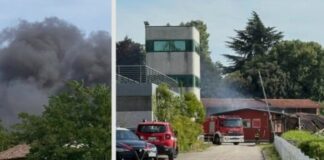 Incendio all’ippodromo Sant’Artemio: sei cavalli muoiono nel rogo incendio Treviso ippodromo Sant'Artemio