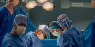Trapianto di rene: a Padova il primo intervento con chirurgia robotica Trapianto di rene, Chirurgia robotica, Padova