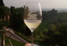 Cornuda celebra le eccellenze del vino: premiati i migliori produttori tra Asolo e Montello Cornuda, Asolo Montello, Viticoltura