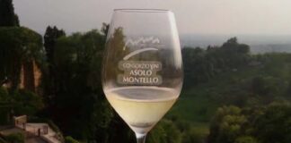Cornuda celebra le eccellenze del vino: premiati i migliori produttori tra Asolo e Montello Cornuda, Asolo Montello, Viticoltura