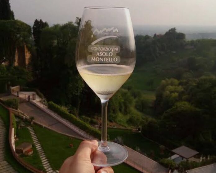 Cornuda, Asolo Montello, Viticoltura Cornuda, Asolo Montello, Viticoltura