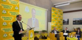 Made in Italy, il Veneto rafforza la difesa delle produzioni certificate Made in Italy, Coldiretti, Legge Caselli