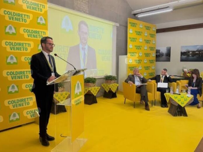 Made in Italy, Coldiretti, Legge Caselli Made in Italy, Coldiretti, Legge Caselli