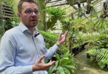 Orto Botanico, ad Asolo l’incontro conclusivo della mostra Florilegia Florilegia, Asolo, Biodiversità
