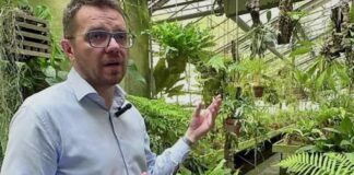 Orto Botanico, ad Asolo l’incontro conclusivo della mostra Florilegia Florilegia, Asolo, Biodiversità