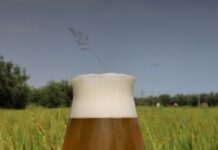 Birra agricola protagonista a Treviso con la Notte Gialla Birra agricola, Treviso, Campagna Amica