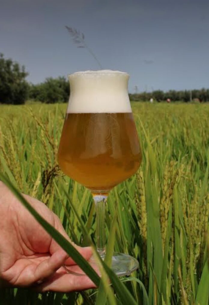 Birra agricola, Treviso, Campagna Amica Birra agricola, Treviso, Campagna Amica