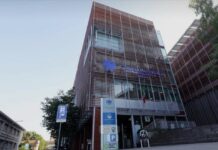 Ascom Confcommercio Treviso chiude il 2025 con bilanci in crescita Ascom Confcommercio Treviso Imprese Commercio Veneto