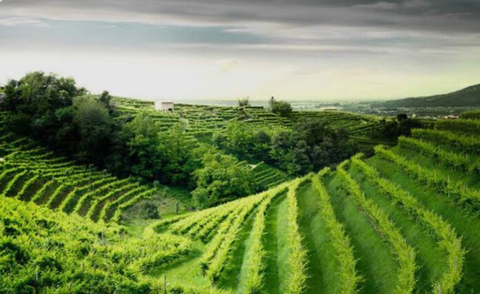 Colline del Prosecco Unesco Turismo Veneto Colline del Prosecco Unesco Turismo Veneto