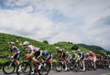 Piva Junior Day: Col San Martino è pronta ad accogliere il grande ciclismo giovanile Piva Junior Day Col San Martino Ciclismo