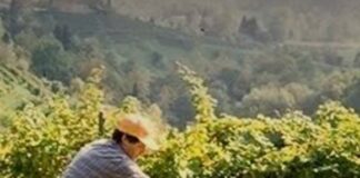 Visite mediche per la vendemmia 2026: torna il servizio di Coldiretti Treviso Coldiretti Treviso, Valdobbiadene, Vendemmia 2026