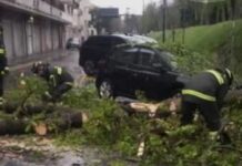Maltempo nel Trevigiano: alberi caduti, blackout e disagi alla viabilità maltempo Trevigiano viabilità
