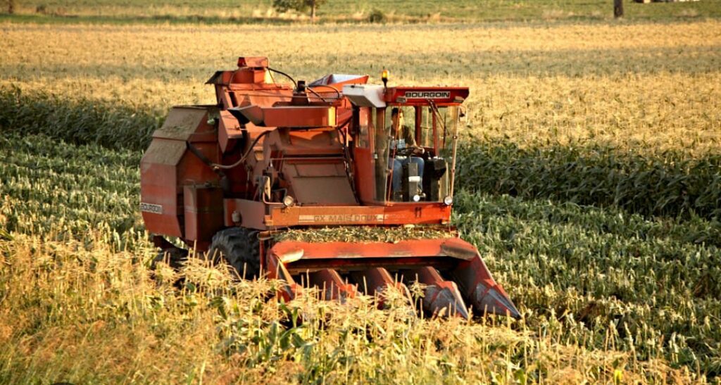 agricoltura