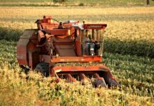 Agricoltura: il Veneto cresce con una produzione da 8,5 miliardi di euro agricoltura