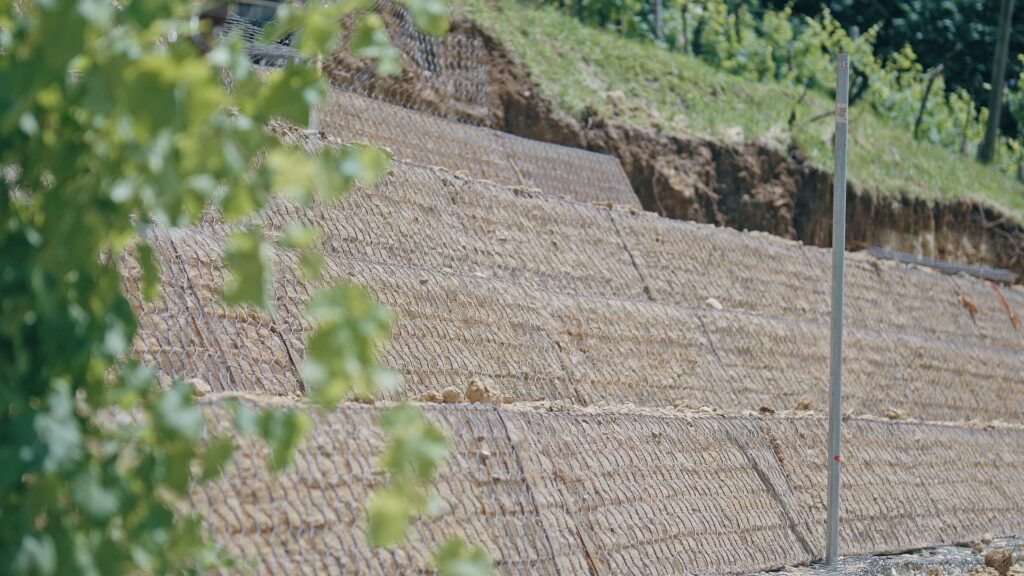 Un sistema di protezione dalle micro-frane nei vigneti del Conegliano Valdobbiadene Prosecco DOCG