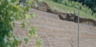 Micro-frane nei vigneti del Conegliano Valdobbiadene DOCG: parte il progetto hi-tech per proteggere il territorio UNESCO Un sistema di protezione dalle micro-frane nei vigneti del Conegliano Valdobbiadene Prosecco DOCG