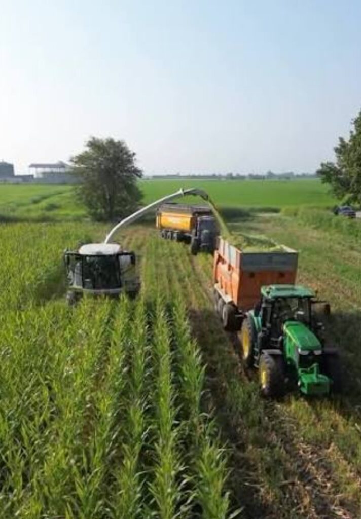 Agricoltura Veneto, agricoltura italiana, agroalimentare, Agricoltura 4.0