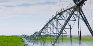 Siccità in Veneto, danni e allarme acqua siccità Veneto, agricoltura Veneto, acqua, Coldiretti