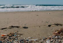 Microplastiche: a Caorle convegno per la tutela del mare Caorle, microplastiche, biodiversità, ambiente