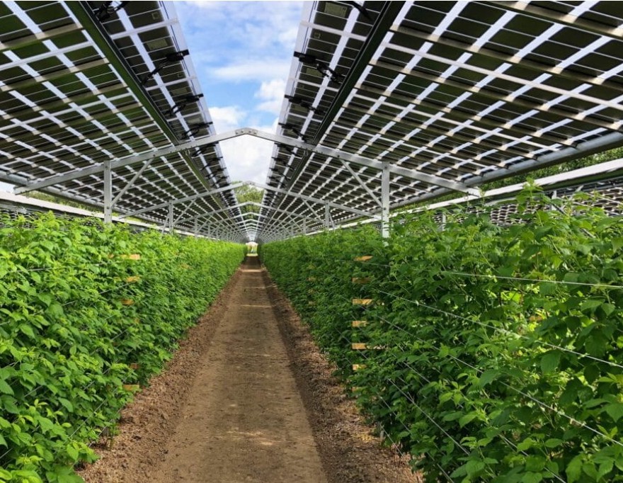 Cia Veneto, transizione energetica, agrivoltaico, energie rinnovabili, SAU