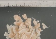 Spaccio a Montebelluna, cede crack in centro: arrestato 39enne, sequestrati oltre 8mila euro Spaccio a Montebelluna, arrestato 39enne - Notizie Plus