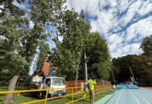 Pista di atletica San Giuliano, nuova illuminazione: intervento da 170 mila euro Pista San Giuliano, nuova luce per 170 mila euro - Notizie Plus