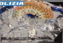 Cocaina Treviso, oltre 200 dosi nascoste nei campi: arrestato un 23enne Cocaina Treviso, oltre 200 dosi: arrestato - Notizie Plus