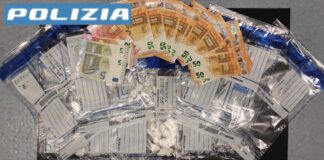 Cocaina Treviso, oltre 200 dosi nascoste nei campi: arrestato un 23enne Cocaina Treviso, oltre 200 dosi: arrestato - Notizie Plus
