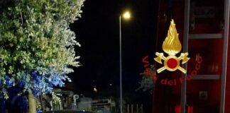 Cimadolmo, auto contro un albero: donna grave, trasportata in elicottero a Treviso Incidente Cimadolmo, donna grave - Notizie Plus