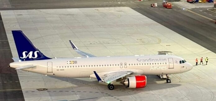 aeroporto Marco Polo Trieste Airport Scandinavian Airlines gabbiani sulla pista aeroporto Marco Polo Trieste Airport Scandinavian Airlines gabbiani sulla pista