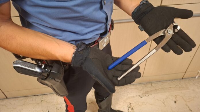 Furto bicicletta a Castelfranco, denunciato 44enne - Notizie Plus Furto bicicletta a Castelfranco, denunciato 44enne - Notizie Plus