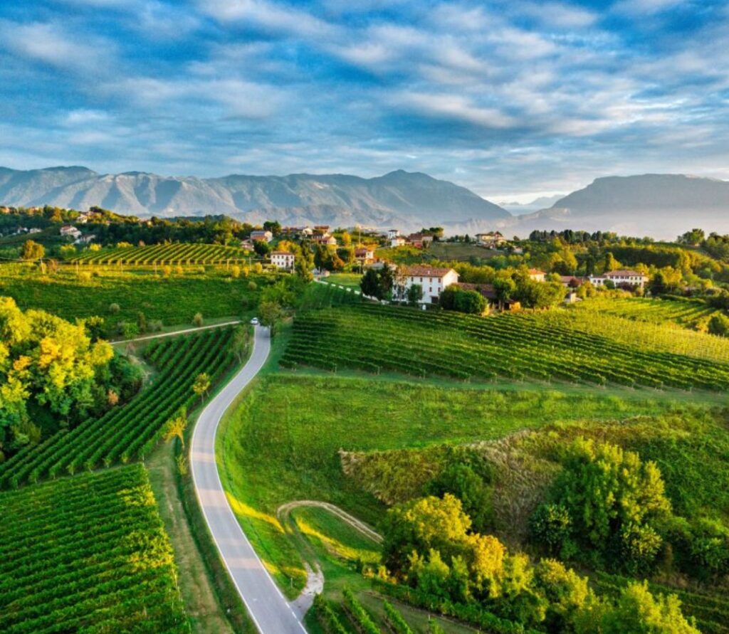 Conegliano Valdobbiadene, enoturismo, Strada del Prosecco, museo diffuso