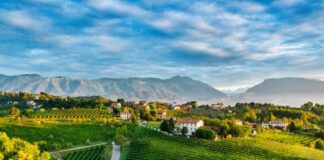 Strada del Vino. La grande storia di “Conegliano Valdobbiadene” rivive tra mostre, docufilm e cammino Conegliano Valdobbiadene, enoturismo, Strada del Prosecco, museo diffuso