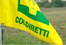 Senior Coldiretti, a Chioggia la giornata regionale tra welfare e non autosufficienza Federpensionati Coldiretti non autosufficienza welfare anziani domiciliarità