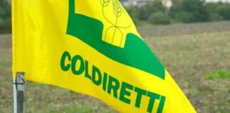 Senior Coldiretti, a Chioggia la giornata regionale tra welfare e non autosufficienza Federpensionati Coldiretti non autosufficienza welfare anziani domiciliarità