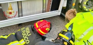Donna investita a San Donà Donna investita a San Donà, muore mamma di 42 anni - Notizie Plus