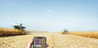 Agricat, indennizzi a rischio: caos dopo la siccità siccità in Veneto indennizzi agricoli Cia Veneto Agea