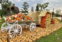 Villaggio delle Zucche 2026, a Villorba apre il regno dell’autunno: oltre un milione di zucche fino al 2 novembre Villaggio delle Zucche 2026, Nonno Andrea, Villorba, zucche