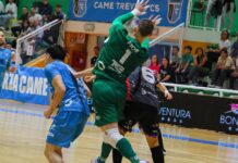 Came Treviso-Feldi Eboli, al Palacicogna una sfida d’alta classifica: Gulizia cerca continuità Came Treviso-Feldi Eboli, Gulizia cerca continuità - Notizie Plus