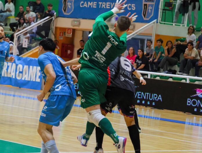 Came Treviso-Feldi Eboli, Gulizia cerca continuità - Notizie Plus Came Treviso-Feldi Eboli, Gulizia cerca continuità - Notizie Plus