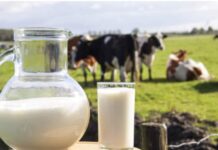 Latte in Veneto: è allarme sui costi secondo Cia costi di produzione allevamenti Caseus Veneti settore lattiero-caseario