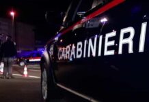 San Biagio di Callalta, sorpreso dopo il furto in azienda: arrestato un 36enne Tentato furto a San Biagio di Callalta, arrestato - Notizie Plus